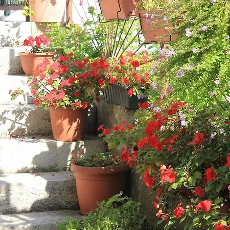 Maison d'hôtes Dems 3*